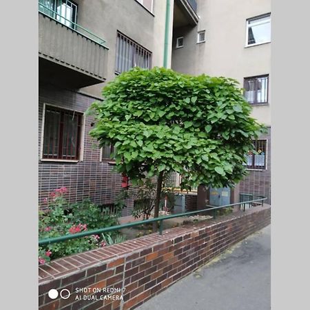 ברטיסלאבה A Cosy Studio In The City Centre מראה חיצוני תמונה