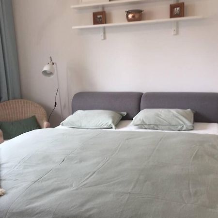 ברטיסלאבה A Cosy Studio In The City Centre מראה חיצוני תמונה