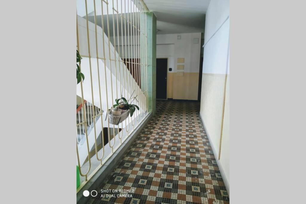 ברטיסלאבה A Cosy Studio In The City Centre מראה חיצוני תמונה